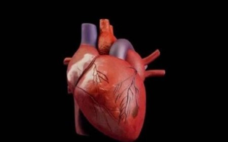 ابتكار تقنية ثورية جديدة لعلاج تسارع القلب البطيني بطرق فعالة
