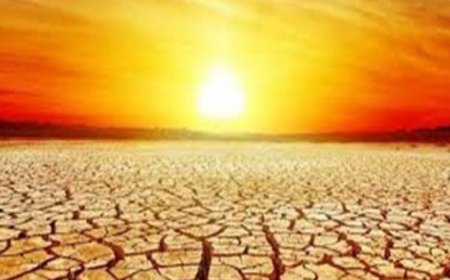الصيف يبدأ مبكرا ويستمر لفترة أطول بسبب تغير المناخ