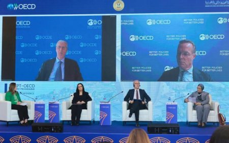 أمل عمار تؤكد نجاح مصر في تمكين المرأة اقتصادياً بالتعاون مع منظمة التعاون والتنمية الاقتصادية OECD