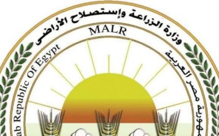 الزراعة تعزز وجودها الميداني في المحافظات لدعم الزراعة التعاقدية وتحسين الإنتاج الزراعي
