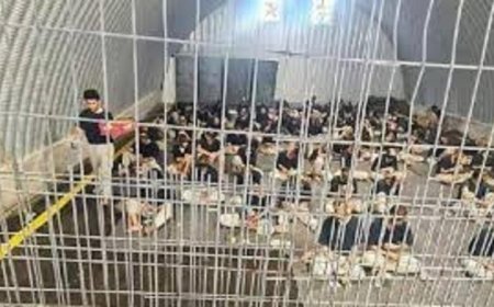 مؤسسات الأسرى تكشف عن تجاوز عدد الأسرى والمعتقلين في سجون الاحتلال 9400 حتى بداية مايو