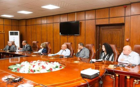 محافظ المنيا يستعرض خطط إنشاء مصنع جديد لتصنيع ضفائر السيارات