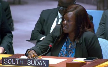 جنوب السودان تعزز التزامها باتفاق 2011 وقرارات مجلس الأمن حول منطقة أبيي