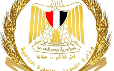 وزارة التموين تتخذ إجراءات حاسمة لمواجهة المخالفات حفاظًا على صحة المواطنين وسلامة الغذاء