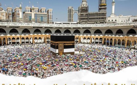 مايا مرسي تعلن عن بدء أولى رحلات حجاج الجمعيات الأهلية إلى المدينة المنورة غدا