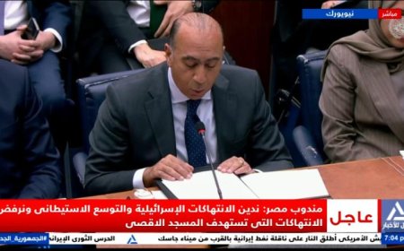 مندوب مصر في مجلس الأمن يندد بالانتهاكات الإسرائيلية في الضفة الغربية والقدس