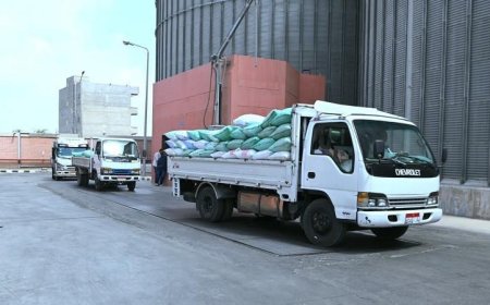توريد 13 ألف طن من القمح في 24 ساعة بالبحيرة إنجاز يدعم الأمن الغذائي