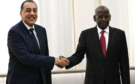 رئيس الوزراء يزور جيبوتي لحضور مراسم تنصيب الرئيس إسماعيل عمر جيله