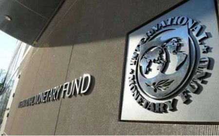صندوق النقد الدولي يتنبأ بصافي دخل بقيمة 2.5 مليار دولار بحلول عام 2026