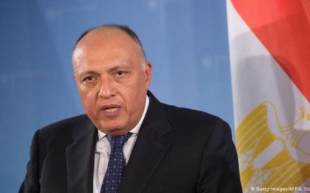 رئيس خارجية النواب يؤكد أن زيارة ماكرون تعزز قوة وعمق العلاقات المصرية الفرنسية