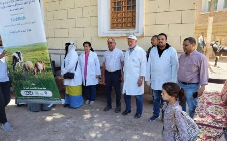 فحص وعلاج 186 رأس ماشية وتقديم خدمات بيطرية مجانية لصغار المربين في أسيوط