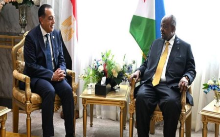 تعزيز العلاقات الثنائية بين جيبوتي ومصر رئيس الوزراء يبحث سبل التعاون في مجالات متعددة بالصور