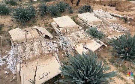 الأمم المتحدة تصف نبش إسرائيل قبرًا في جنين بأنه فعل مروع ويدعو للاستياء