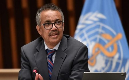 مدير منظمة الصحة العالمية يتوجه إلى إسبانيا لمتابعة تفشي فيروس هانتا بين ركاب سفينة