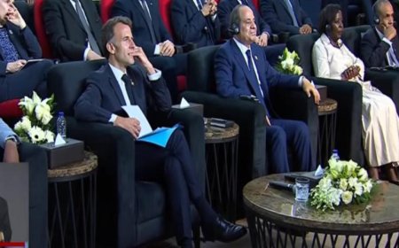 رئيس تعليم النواب يؤكد أن افتتاح جامعة سنجور يعزز التعاون التعليمي بين مصر وفرنسا