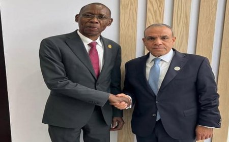 وزير الخارجية يثمن النمو المتزايد في العلاقات بين مصر والسنغال