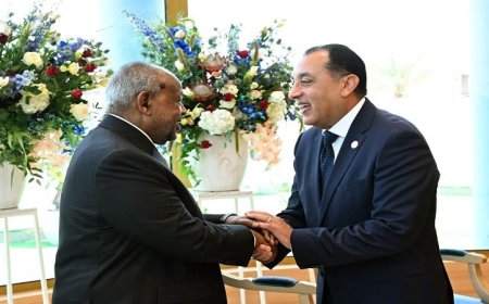 رئيس الوزراء يعود إلى القاهرة بعد حضوره حفل تنصيب الرئيس الجيبوتي