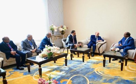 رئيس القيادة اليمنية يناقش مع رئيسي جيبوتي والصومال آخر التطورات الإقليمية