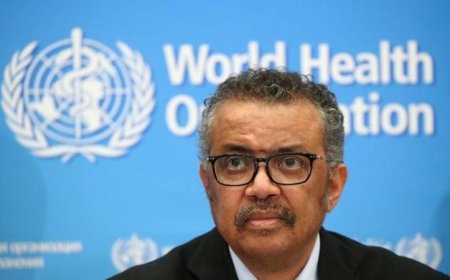 مدير الصحة العالمية يكشف عن انخفاض خطر انتقال هانتا من السفينة المصابة