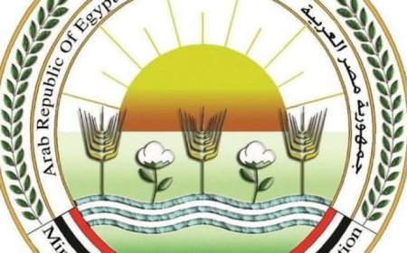 الزراعة تبدأ حملة وطنية لمواجهة القوارض بعد حصاد المحاصيل الشتوية