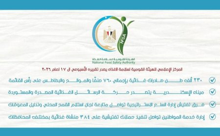 تصدير 230 ألف طن من الأغذية في مايو 2026 والموالح والبطاطس في المقدمة