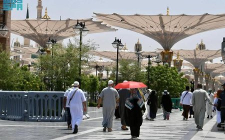 صور جهود تنظيم وإرشاد متميزة لاستقبال الحجاج في المسجد النبوي