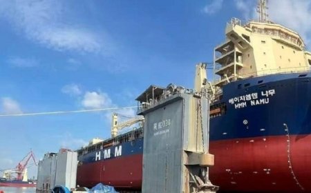 كوريا الجنوبية تعلن عن أسباب انفجار السفينة إتش إم إم نامو في مضيق هرمز