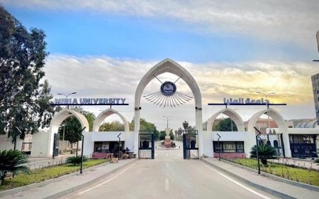 رئيس جامعة المنيا يعلن خطة استراتيجية لمكافحة ظاهرة الغش والغش الإلكتروني