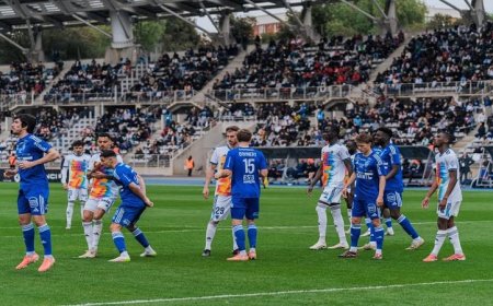 شغب الجماهير يوقف مباراة لومان وباستيا في دوري الدرجة الثانية الفرنسي