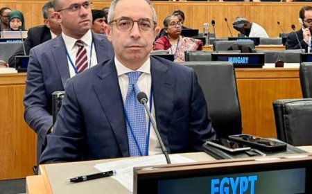 مصر تتألق في المنتدى الدولي لمراجعة تنفيذ أهداف الميثاق العالمي للهجرة