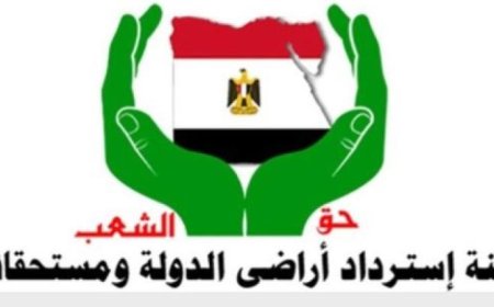 لجنة استرداد أراضي الدولة تبحث استثمار أصول الشركات القابضة لتعزيز الاقتصاد الوطني