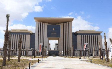 مصر ترفض هجومًا على سفينة بضائع في المياه الإقليمية لقطر الشقيقة