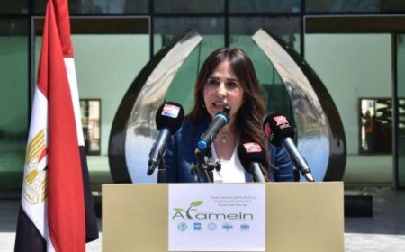 مشروع العلمين الجديدة من رؤية الرئيس إلى الإنجازات المحققة اليوم