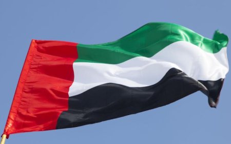 الإمارات ترفض بشدة الهجوم بطائرة مسيرة على سفينة تجارية في المياه الإقليمية القطرية
