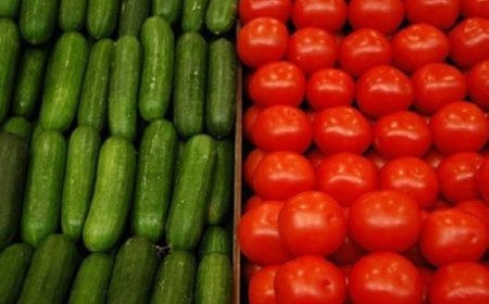 خبيرة تغذية تكشف عن أفضل مصادر الألياف الغذائية الخيار والطماطم