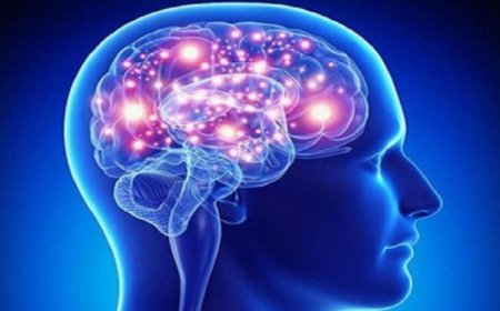 اكتشافات جديدة حول الدماغ وتأثير المرونة العصبية على الصحة النفسية