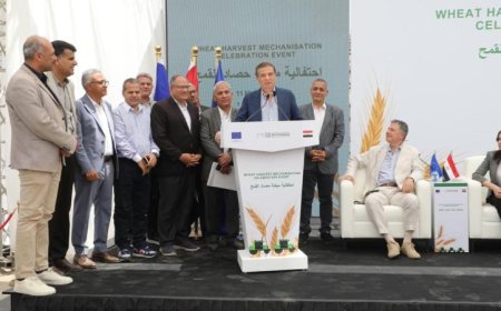 وزير الزراعة ومحافظ البحيرة يشاركان في احتفالية تدشين ميكنة حصاد القمح