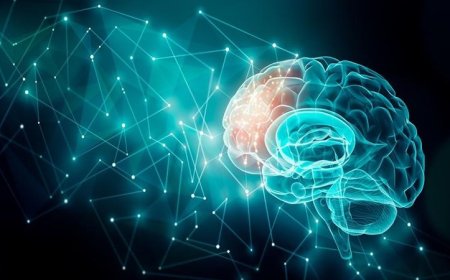 دراسة تكشف كيف تميز فحوصات الدماغ بين السيكوباتيين والأشخاص العاديين