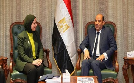 الوزارتان العمل والخارجية تناقشان شراكة جديدة لفتح أسواق عمل للكوادر المصرية في الخارج