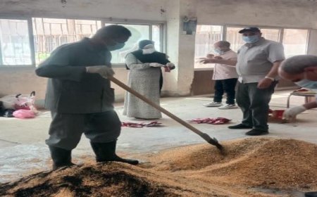 انطلاق الحملة القومية لمكافحة القوارض في محافظة الفيوم لتعزيز الصحة العامة