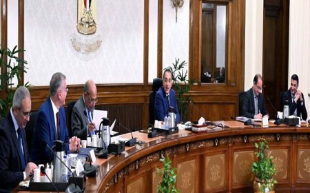 مدبولي يدعو للإسراع في تنفيذ مبادرة تعزيز استخدام الطاقة المتجددة في المصانع