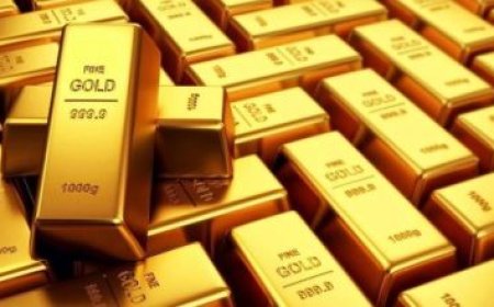 رئيس الرعاية الصحية يُطلق نظاماً مبتكراً لزيادة الإيرادات وضمان استدامة الأدوية