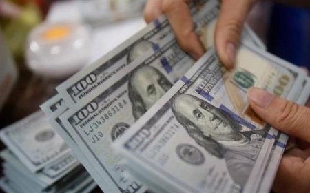 الشرطة تضبط 8 ملايين جنيه في قضايا الاتجار بالنقد الأجنبي خلال يوم واحد