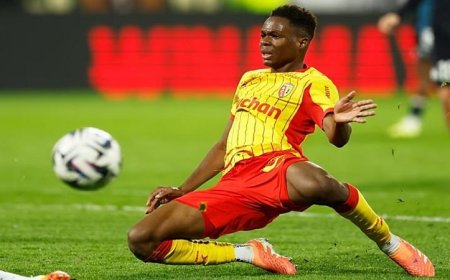 المهاجم المالي مامادو سانجاري يفوز بجائزة أفضل لاعب أفريقي في الدوري الفرنسي