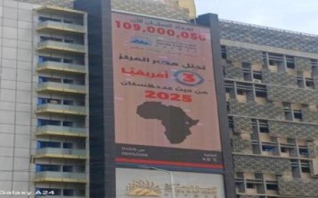 مصر والكويت تعززان التنسيق من أجل أمن واستقرار المنطقة
