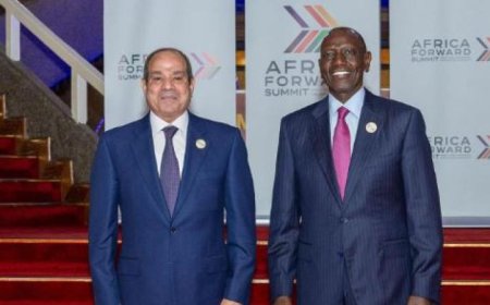 الرئيس السيسي يؤكد عمق العلاقات التاريخية بين مصر وكينيا ويعبر عن اعتزاز البلاد بها