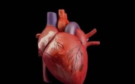 جوجل تطلق مزايا جديدة لتعزيز أمان أنظمة أندرويد ضد مكالمات الاحتيال