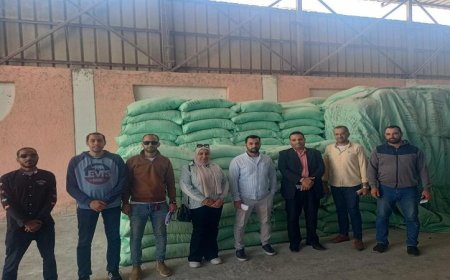 القبض على 5 أطنان ونصف من الدقيق المدعوم في الإسكندرية قبل تهريبها إلى السوق السوداء