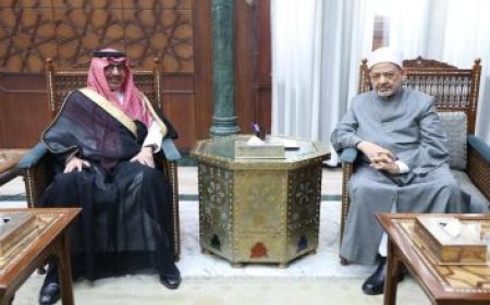 وزيرة التنمية المحلية تعزز جهود تبسيط إجراءات تراخيص المحال العامة لتحسين بيئة الأعمال