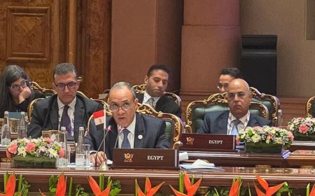 وزير الخارجية يؤكد أهمية تعزيز التعاون الاقتصادي في دول البريكس